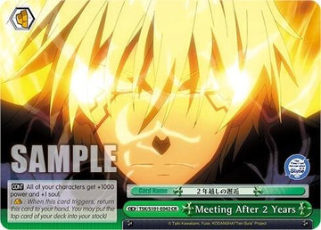 Meeting After 2 Years [That Time I Got Reincarnated as a Slime Vol.3]