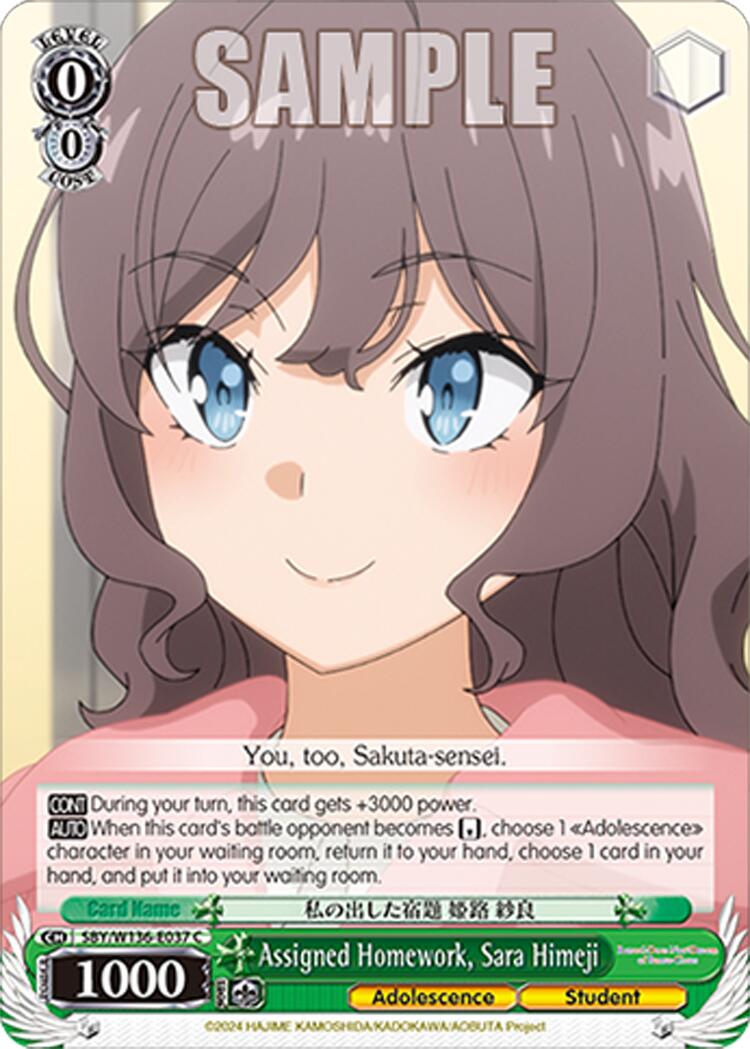 Assigned Homework, Sara Himeji (SBY/W136-E037) [Rascal Does Not Dream of Santa Claus]