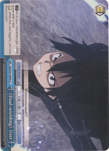 Dual-wielding User (SAO/S47-E099 CC) [Sword Art Online Re: Edit]